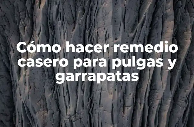 Cómo Hacer Remedio Casero para Pulgas y Garrapatas