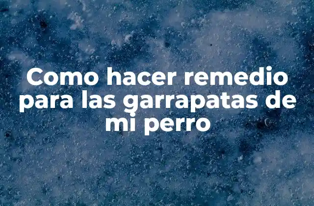 Como Hacer Remedio para las Garrapatas de Mi Perro 2 Remedios naturales para garrapatas de perros