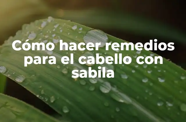 Cómo Hacer Remedios para el Cabello con Sabila