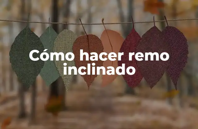 ¿Qué es el remo inclinado?