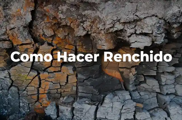 ¿Qué es el RENCHIDO y para qué sirve?