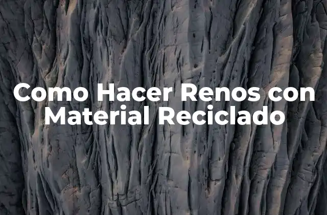 Como Hacer Renos con Material Reciclado