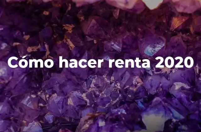 Cómo Hacer Renta 2020