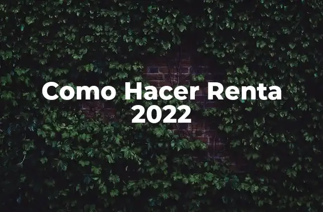 Como Hacer Renta 2022