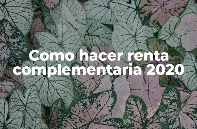 Como Hacer Renta Complementaria 2020