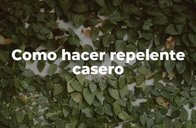Como Hacer Repelente Casero