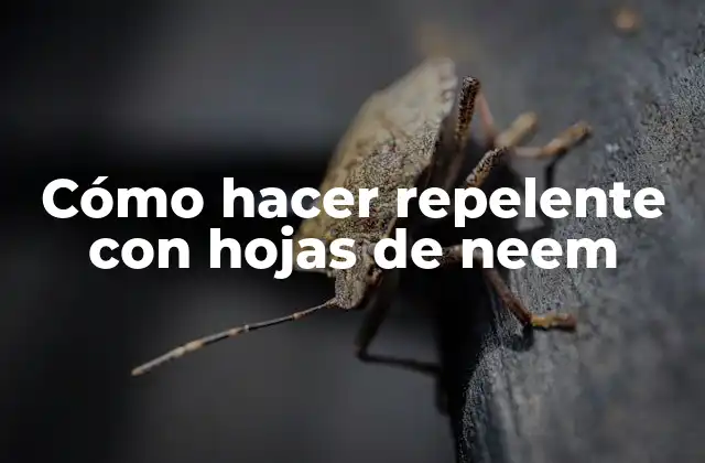 Cómo hacer repelente con hojas de neem
