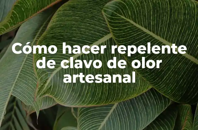 Cómo Hacer Repelente de Clavo de Olor Artesanal