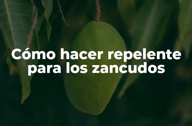 Cómo Hacer Repelente para los Zancudos