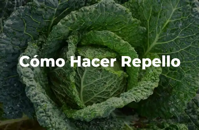 Cómo Hacer Repello