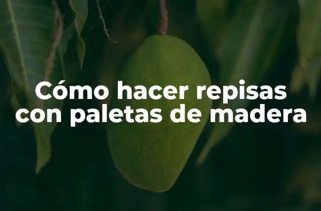 Cómo Hacer Repisas con Paletas de Madera