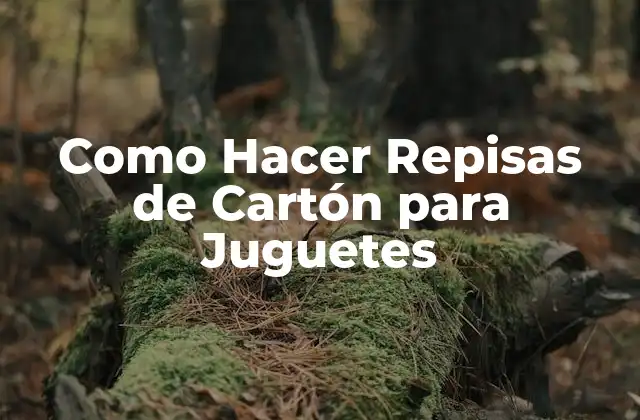Como Hacer Repisas de Cartón para Juguetes