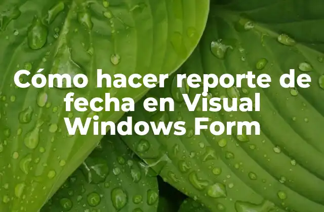 Cómo Hacer Reporte de Fecha en Visual Windows Form