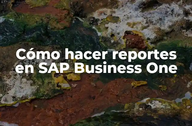 Cómo Hacer Reportes en Sap Business One