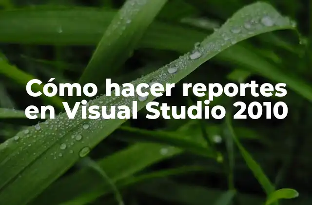 Cómo Hacer Reportes en Visual Studio 2010