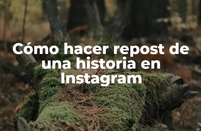 Cómo Hacer Repost de una Historia en Instagram
