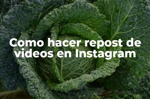 Como Hacer Repost de Videos en Instagram