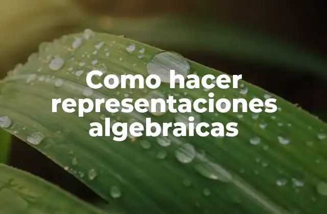 Como Hacer Representaciones Algebraicas