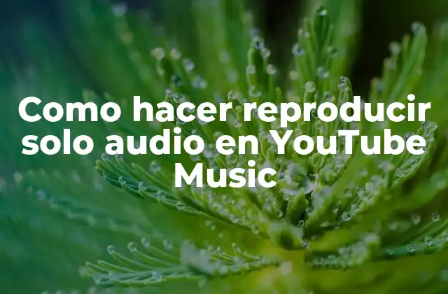 Como Hacer Reproducir Solo Audio en Youtube Music