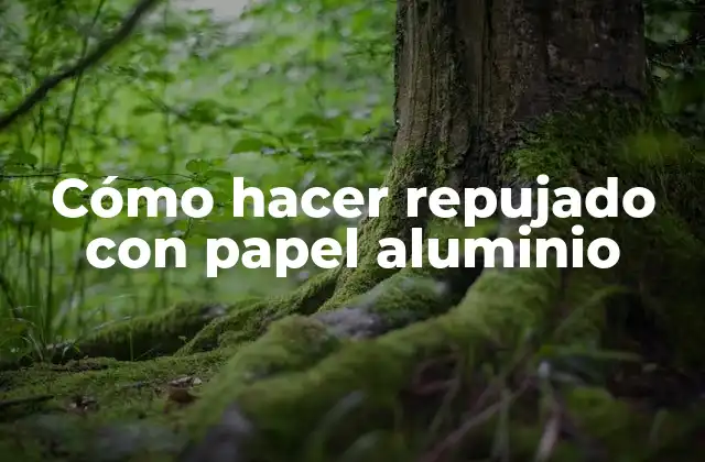 Cómo Hacer Repujado con Papel Aluminio