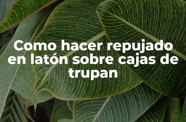 Como Hacer Repujado en Latón sobre Cajas de Trupan