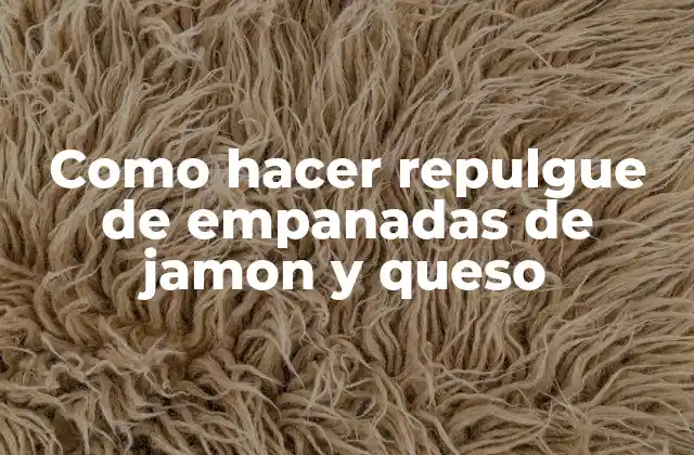 Como Hacer Repulgue de Empanadas de Jamon y Queso