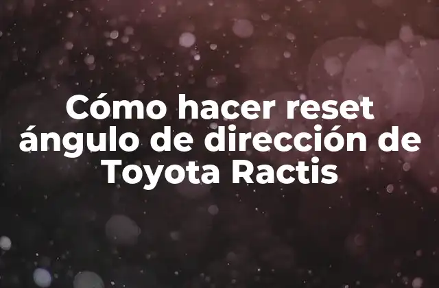 Cómo Hacer Reset Ángulo de Dirección de Toyota Ractis