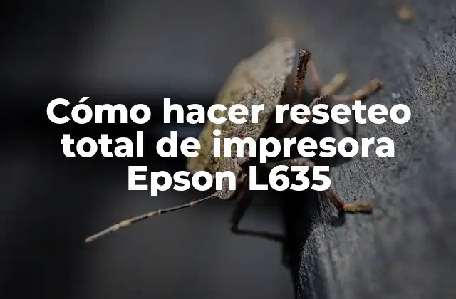 Cómo Hacer Reseteo Total de Impresora Epson L635