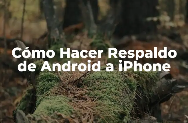 Cómo Hacer Respaldo de Android a Iphone