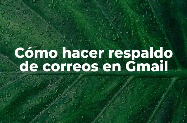 Cómo Hacer Respaldo de Correos en Gmail
