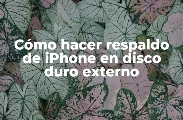 Cómo hacer respaldo de iPhone en disco duro externo