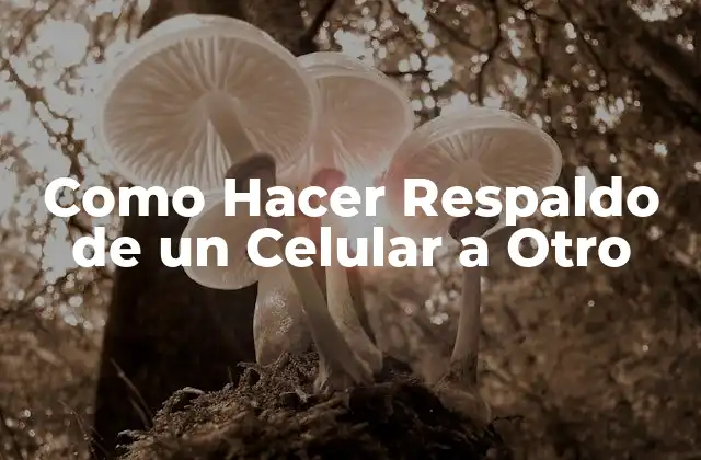 ¿Qué es un Respaldo de un Celular a Otro y para qué Sirve?