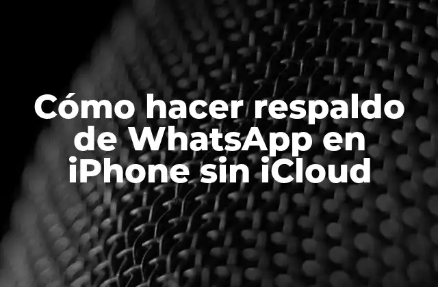 Cómo Hacer Respaldo de Whatsapp en Iphone sin Icloud