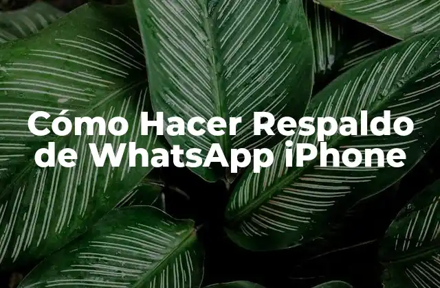 ¿Qué es un Respaldo de WhatsApp y por qué es Importante?