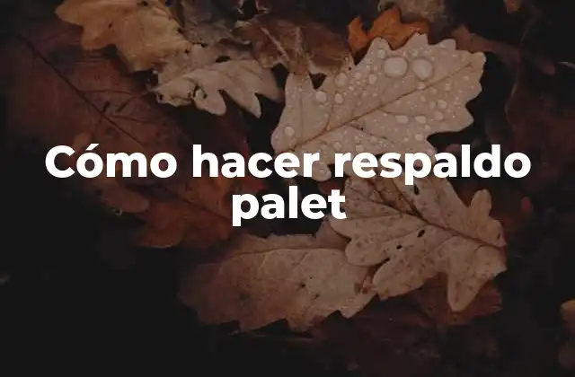 Cómo Hacer Respaldo Palet