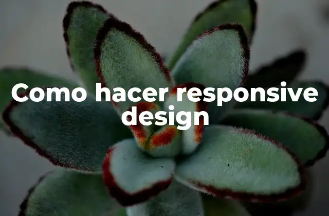 Como Hacer Responsive Design