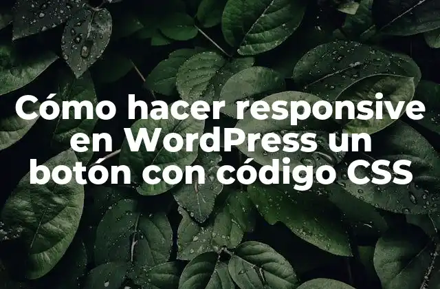 Cómo Hacer Responsive en WordPress un Botón con Código Css