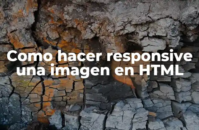 Como Hacer Responsive una Imagen en Html 2 Como hacer responsive una imagen en HTML