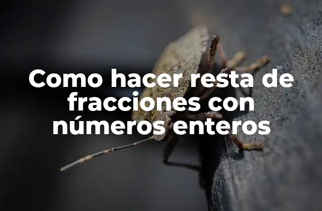 Como Hacer Resta de Fracciones con Números Enteros