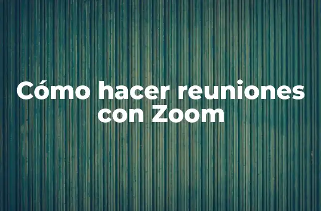 Cómo Hacer Reuniones con Zoom