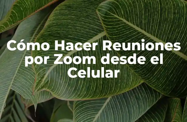 Cómo Hacer Reuniones por Zoom desde el Celular