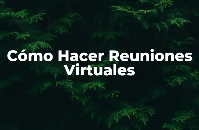 Cómo Hacer Reuniones Virtuales