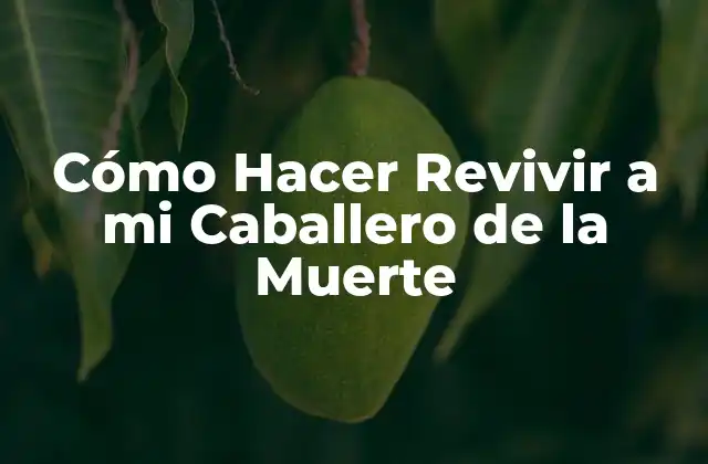 Cómo Hacer Revivir a Mi Caballero de la Muerte 2 ¿Qué es el Caballero de la Muerte en Dark Souls?