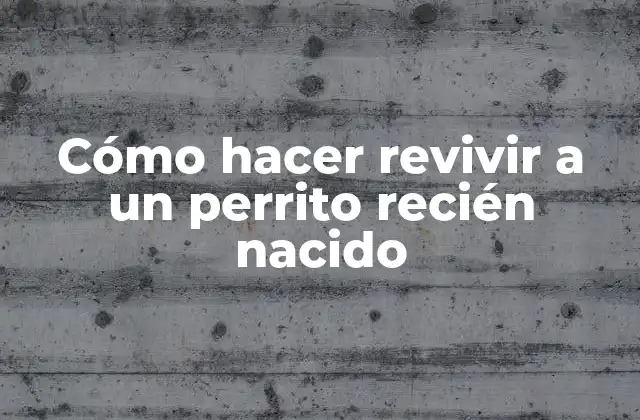 Qué es la reanimación de un perrito recién nacido