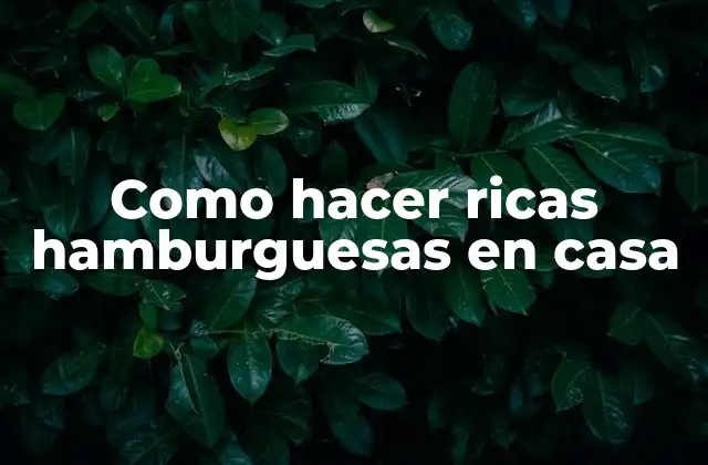 Como Hacer Ricas Hamburguesas en Casa