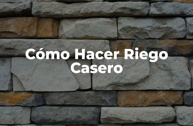 Cómo Hacer Riego Casero 2 Cómo Hacer Riego Casero