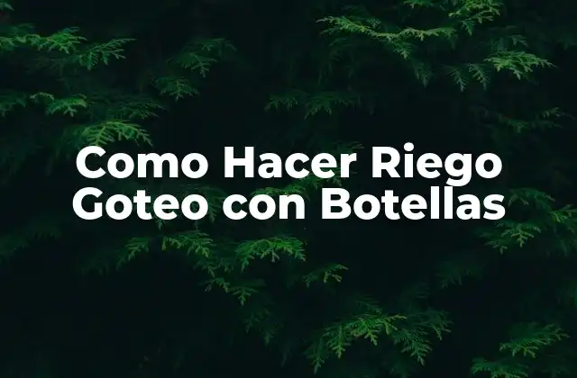 Como Hacer Riego Goteo con Botellas