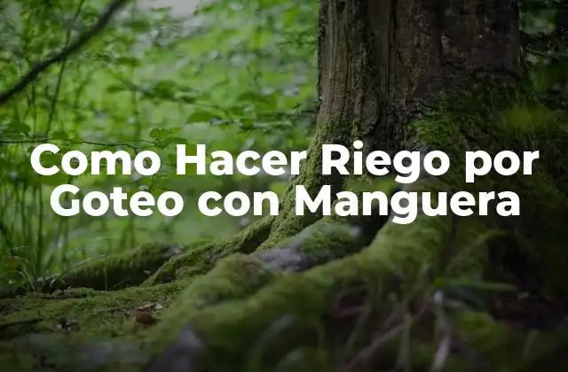 Como Hacer Riego por Goteo con Manguera