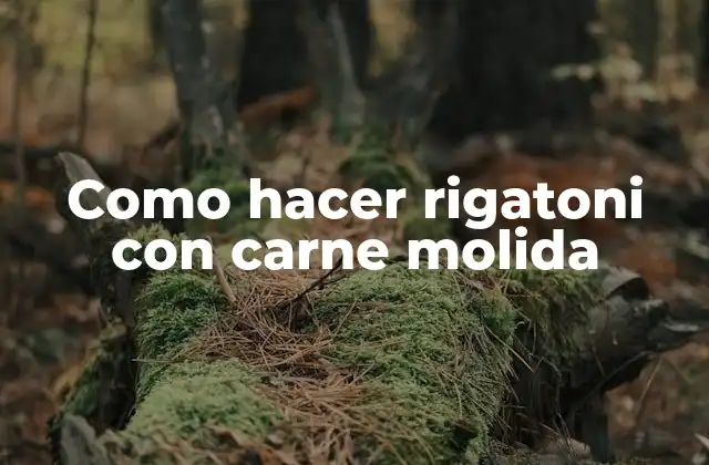 Como Hacer Rigatoni con Carne Molida