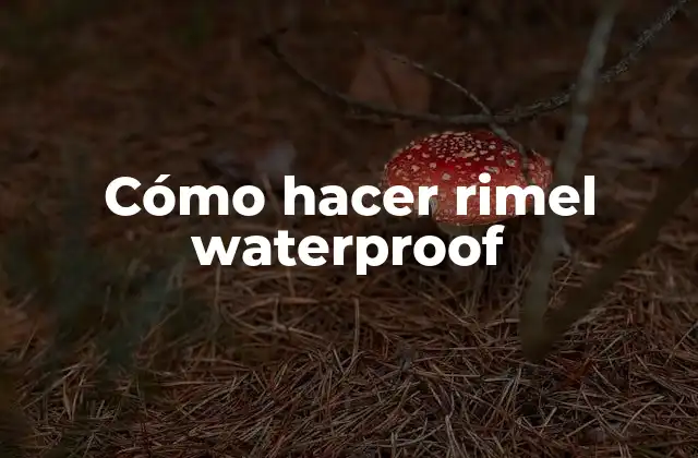 Cómo Hacer Rimel Waterproof 2 ¿Qué es el rimel waterproof?